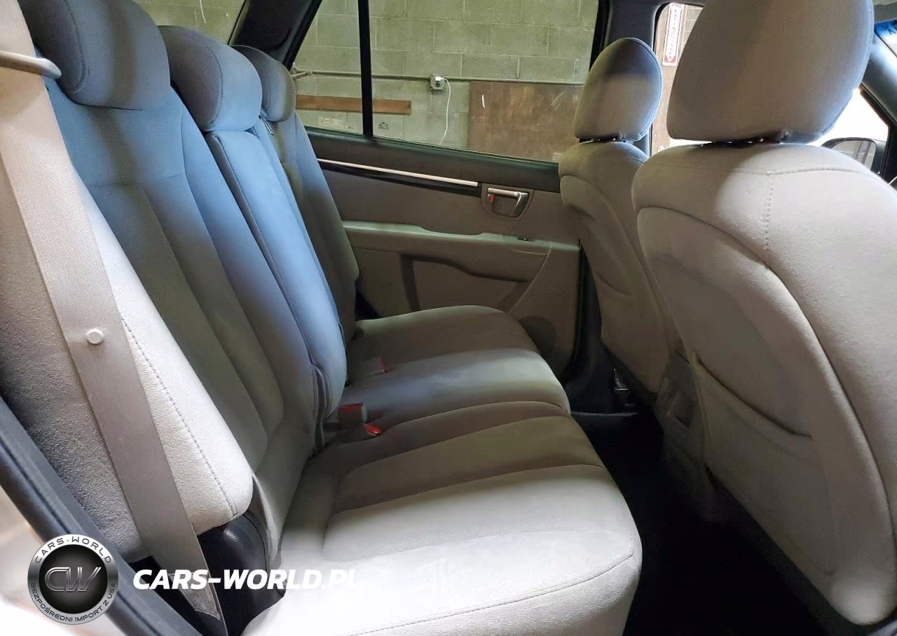 2009 Hyundai Santa Fe Gls VIN:5NMSG73D59H254523 - 11