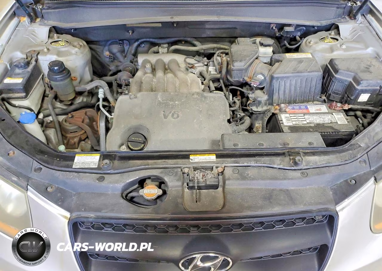 2009 Hyundai Santa Fe Gls VIN:5NMSG73D59H254523 - 12