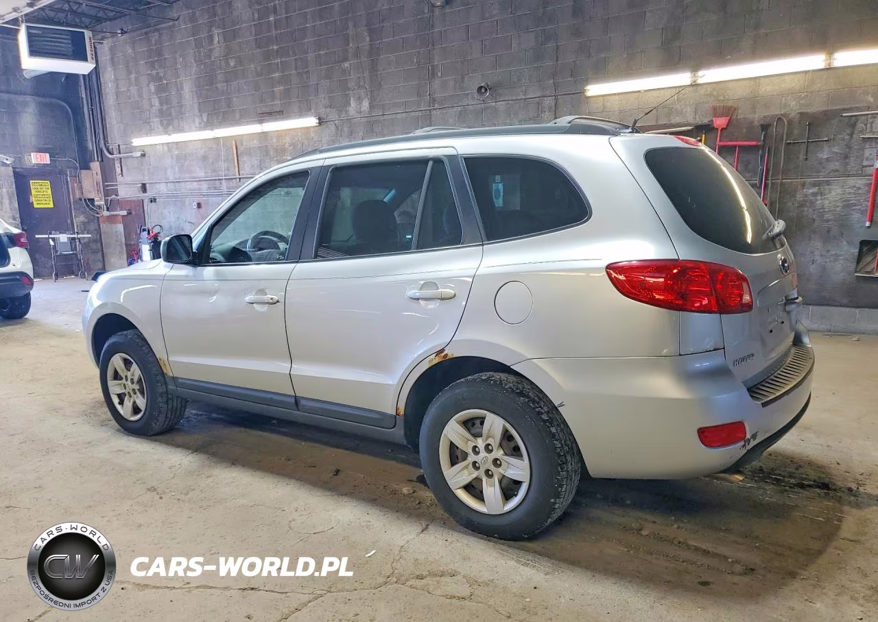 2009 Hyundai Santa Fe Gls VIN:5NMSG73D59H254523 - 2