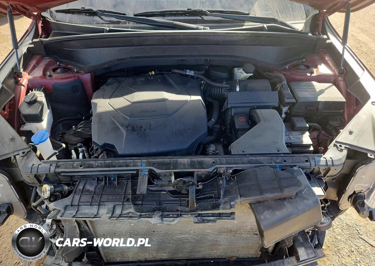 2023 Kia Telluride S VIN:5XYP6DGC8PG375594 - 12