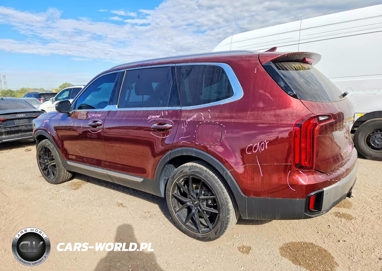 2023 Kia Telluride S VIN:5XYP6DGC8PG375594 - 2