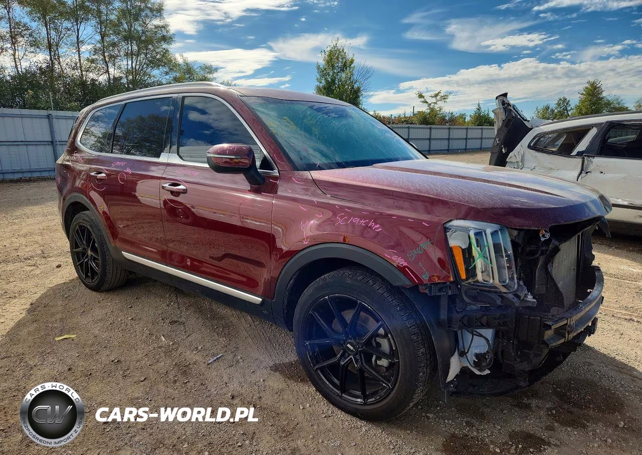 2023 Kia Telluride S VIN:5XYP6DGC8PG375594 - 4