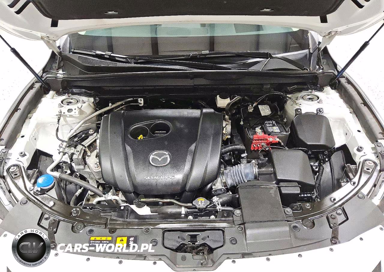2024 Mazda Cx-50 Premium Plus VIN:7MMVABEM0RN155951 - 12