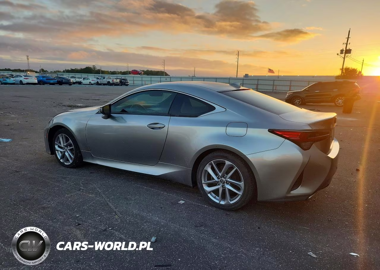 2019 LEXUS RC 300 VIN:JTHHA5BC2K5009159 - 2