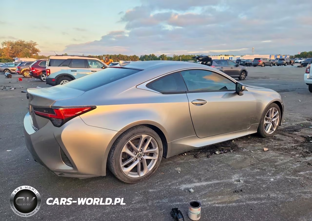 2019 LEXUS RC 300 VIN:JTHHA5BC2K5009159 - 3