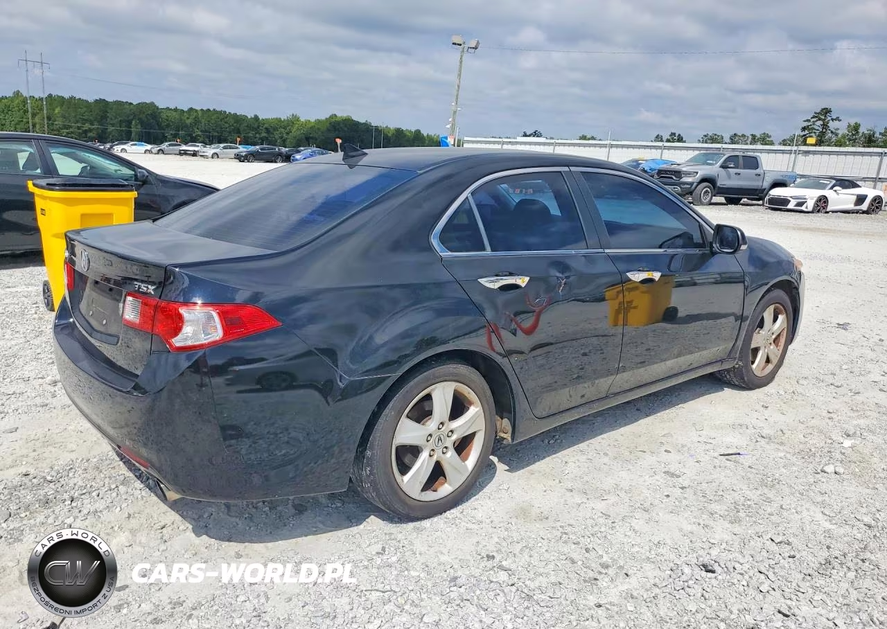 2010 Acura Tsx VIN:JH4CU2F61AC018286 - 3