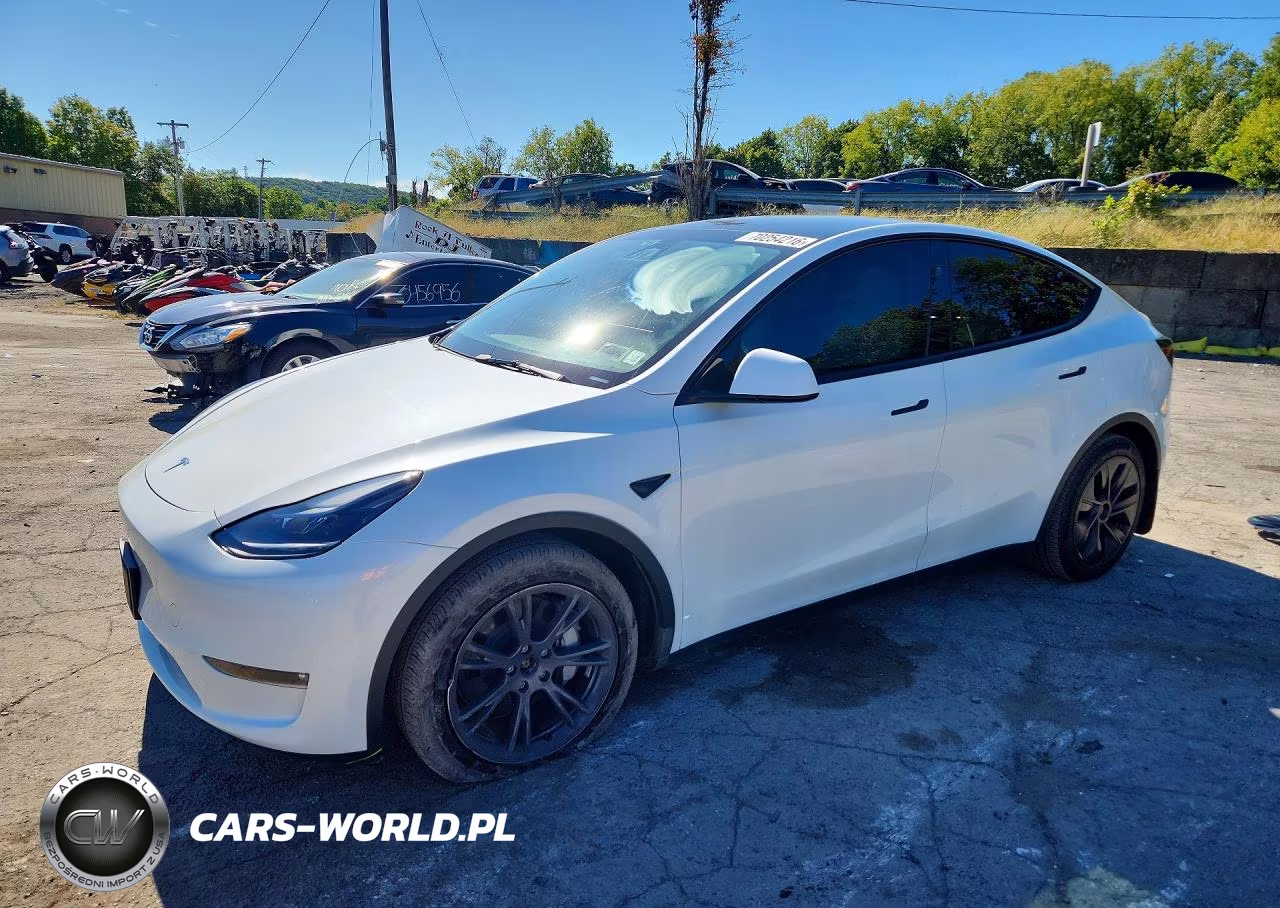 2024 Tesla Model Y VIN:7SAYGDEE1RF202731 - 1