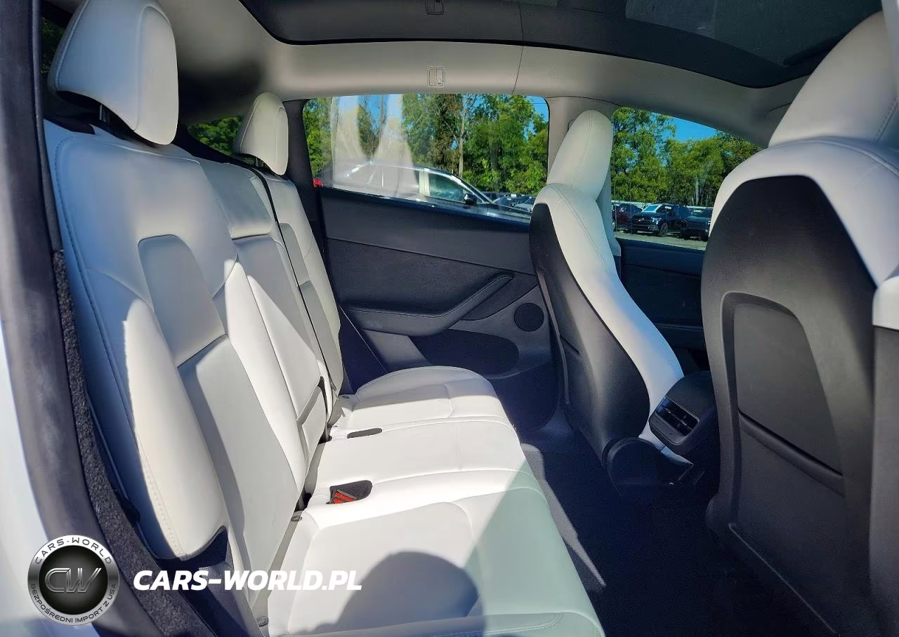2024 Tesla Model Y VIN:7SAYGDEE1RF202731 - 11