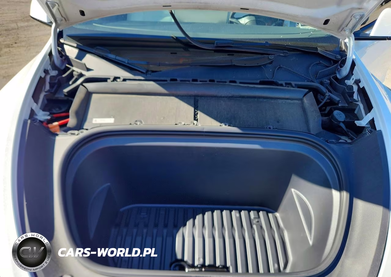 2024 Tesla Model Y VIN:7SAYGDEE1RF202731 - 12