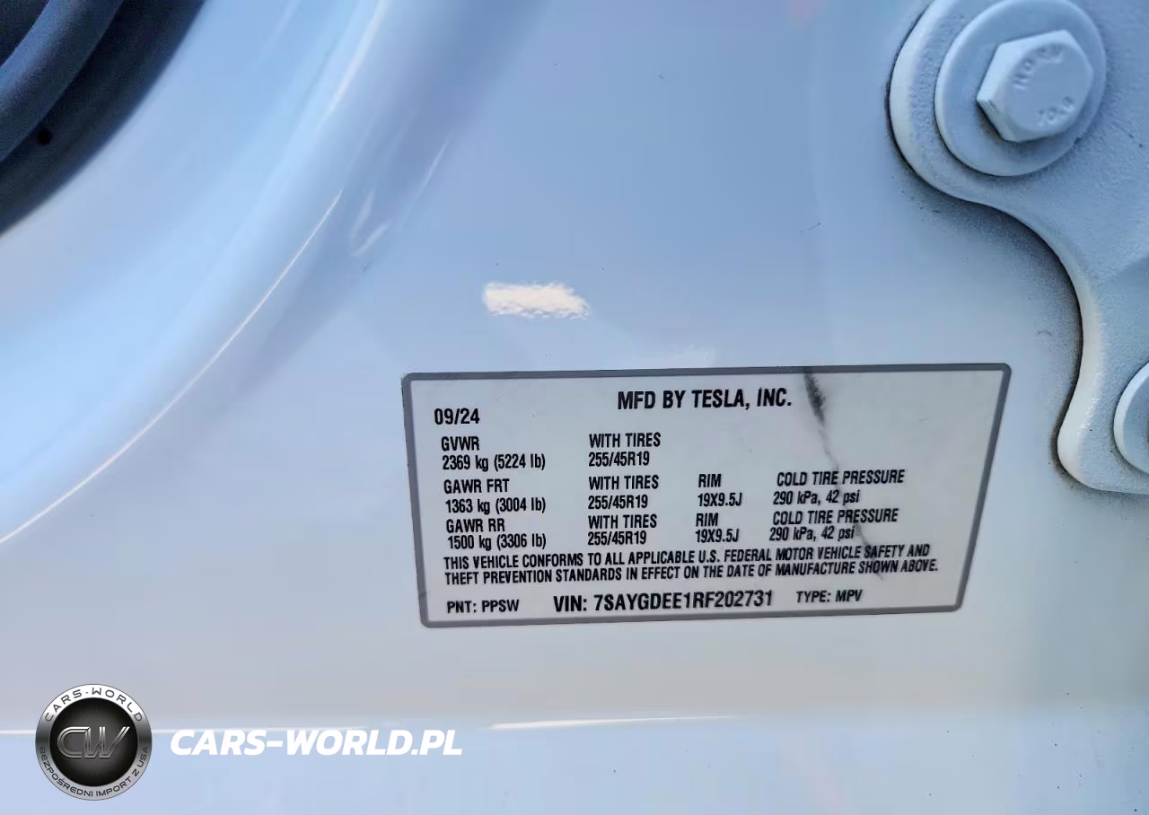 2024 Tesla Model Y VIN:7SAYGDEE1RF202731 - 13