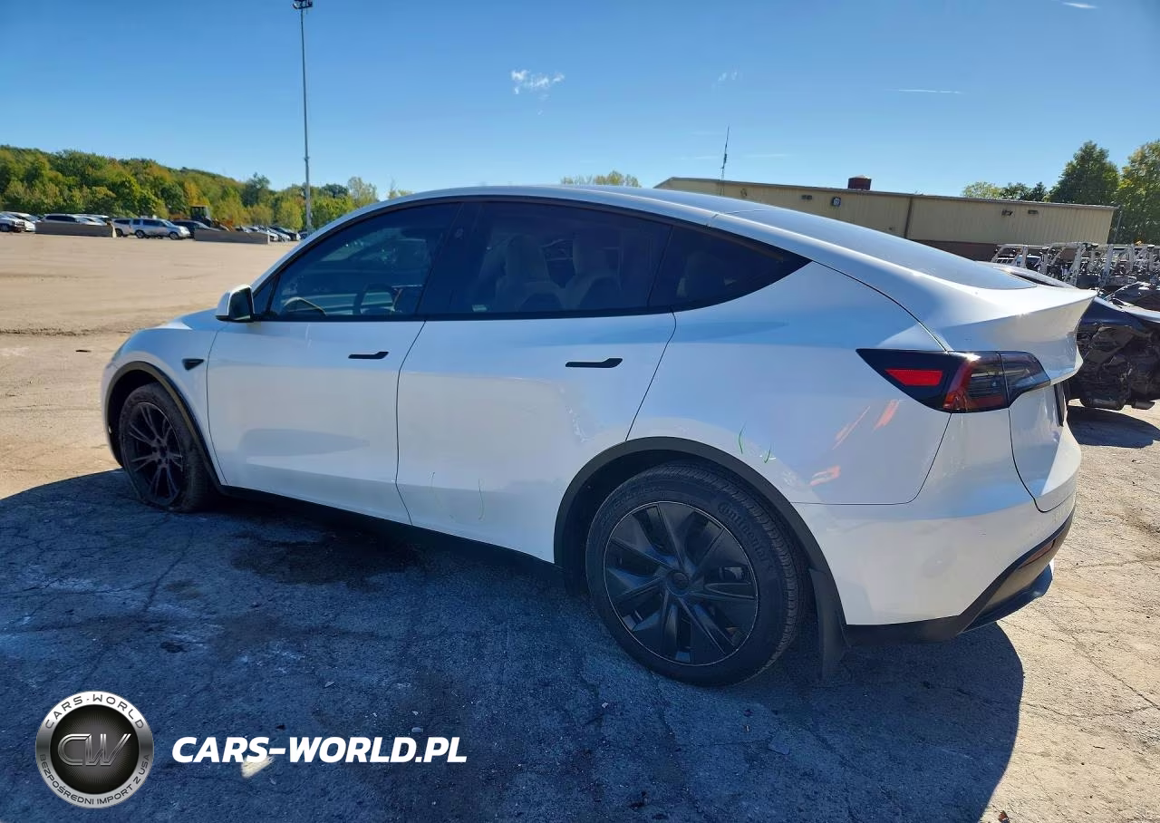 2024 Tesla Model Y VIN:7SAYGDEE1RF202731 - 2