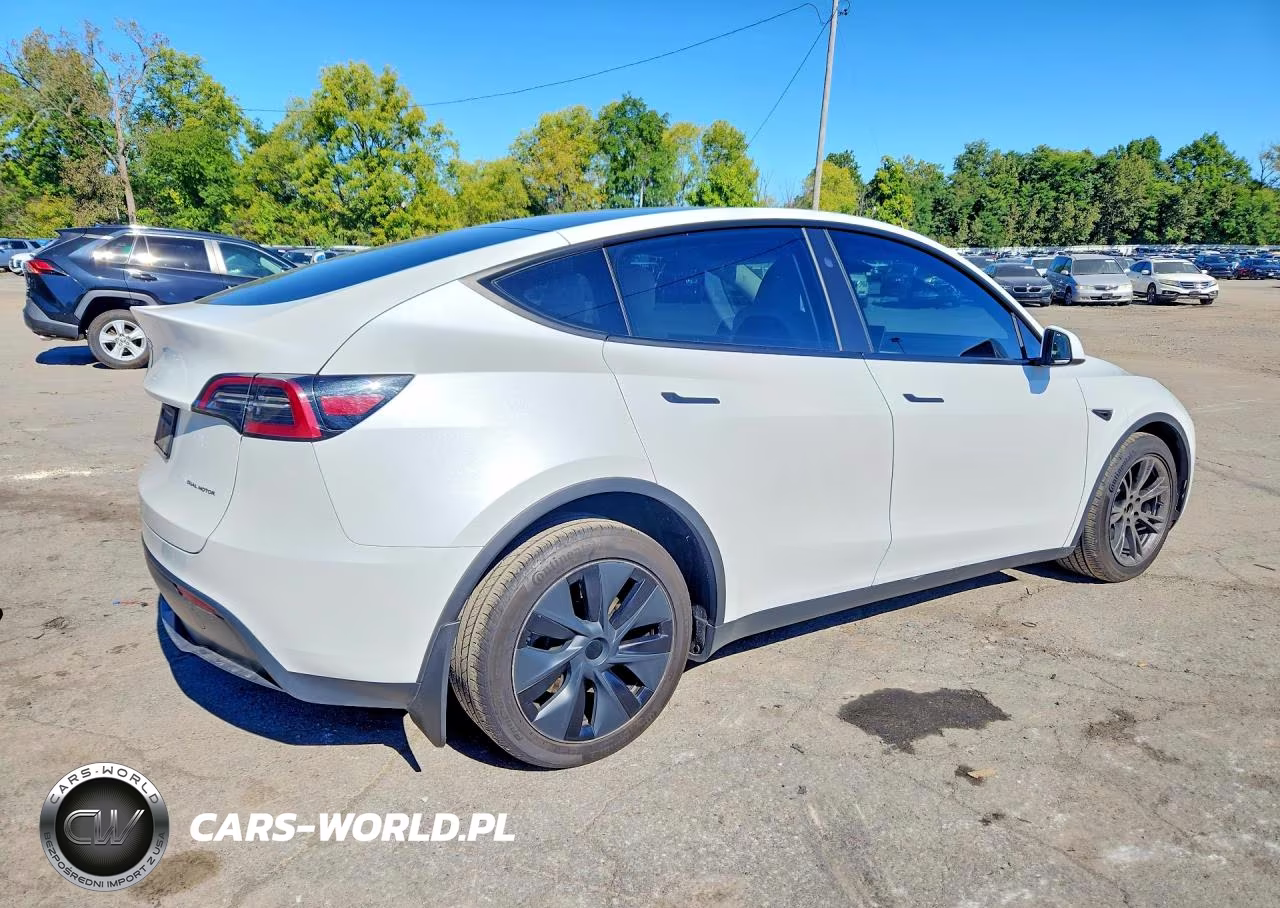 2024 Tesla Model Y VIN:7SAYGDEE1RF202731 - 3