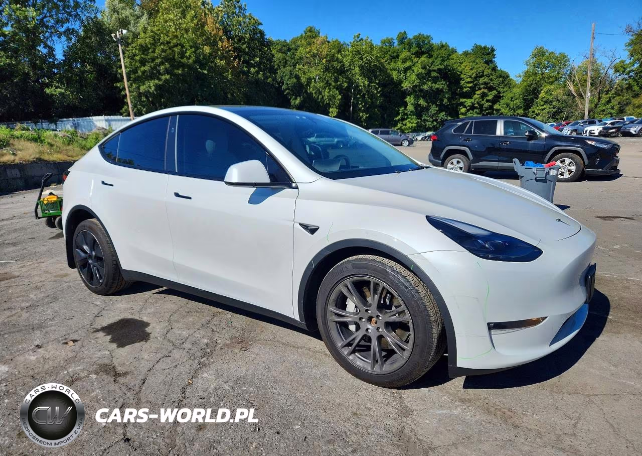 2024 Tesla Model Y VIN:7SAYGDEE1RF202731 - 4