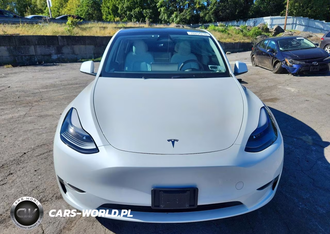 2024 Tesla Model Y VIN:7SAYGDEE1RF202731 - 5
