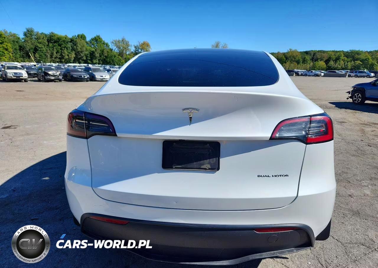 2024 Tesla Model Y VIN:7SAYGDEE1RF202731 - 6