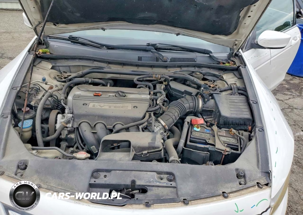 2009 Honda Accord Exl VIN:1HGCS12849A023175 - 11