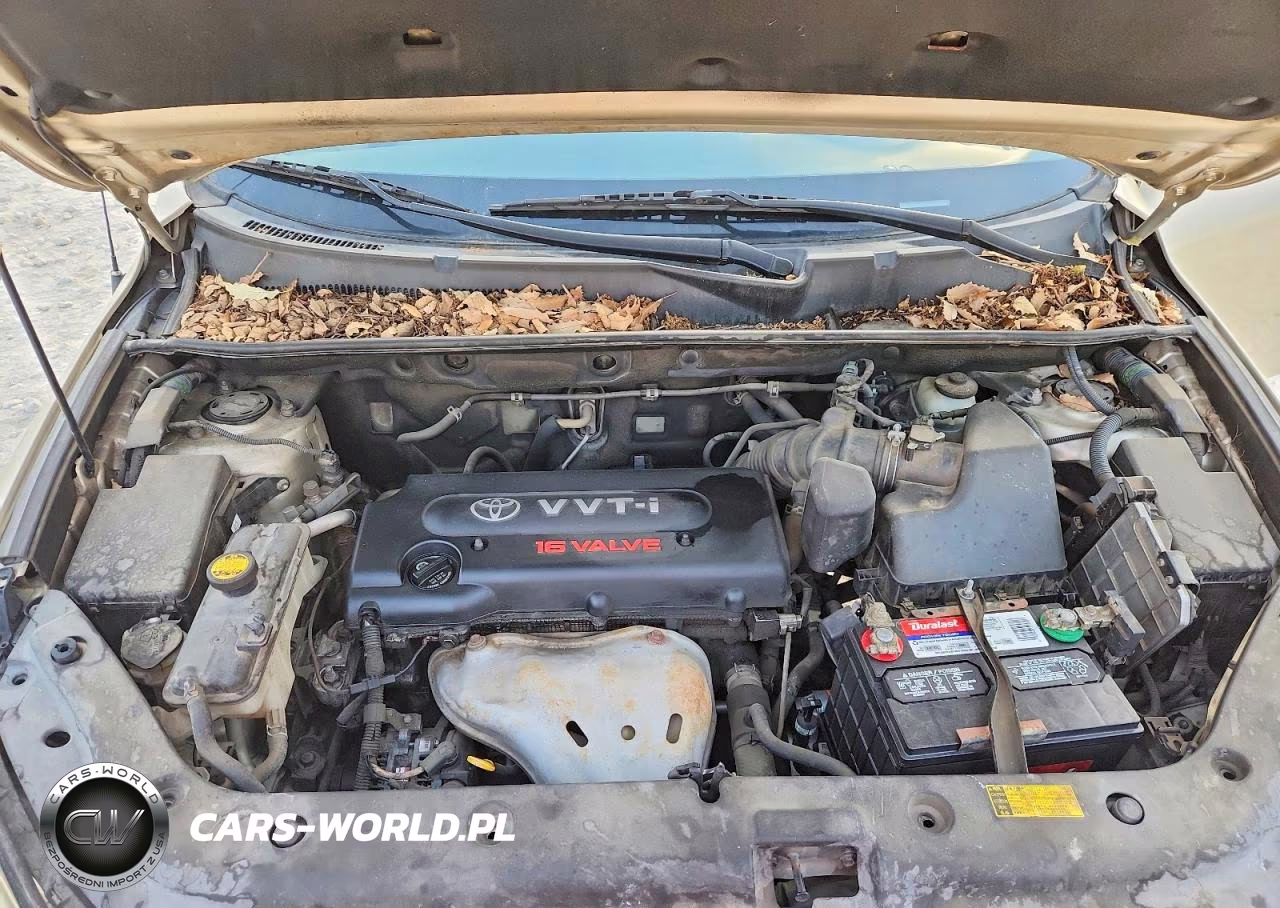 2008 Toyota Rav4 Base VIN:JTMZD33V186073651 - 12