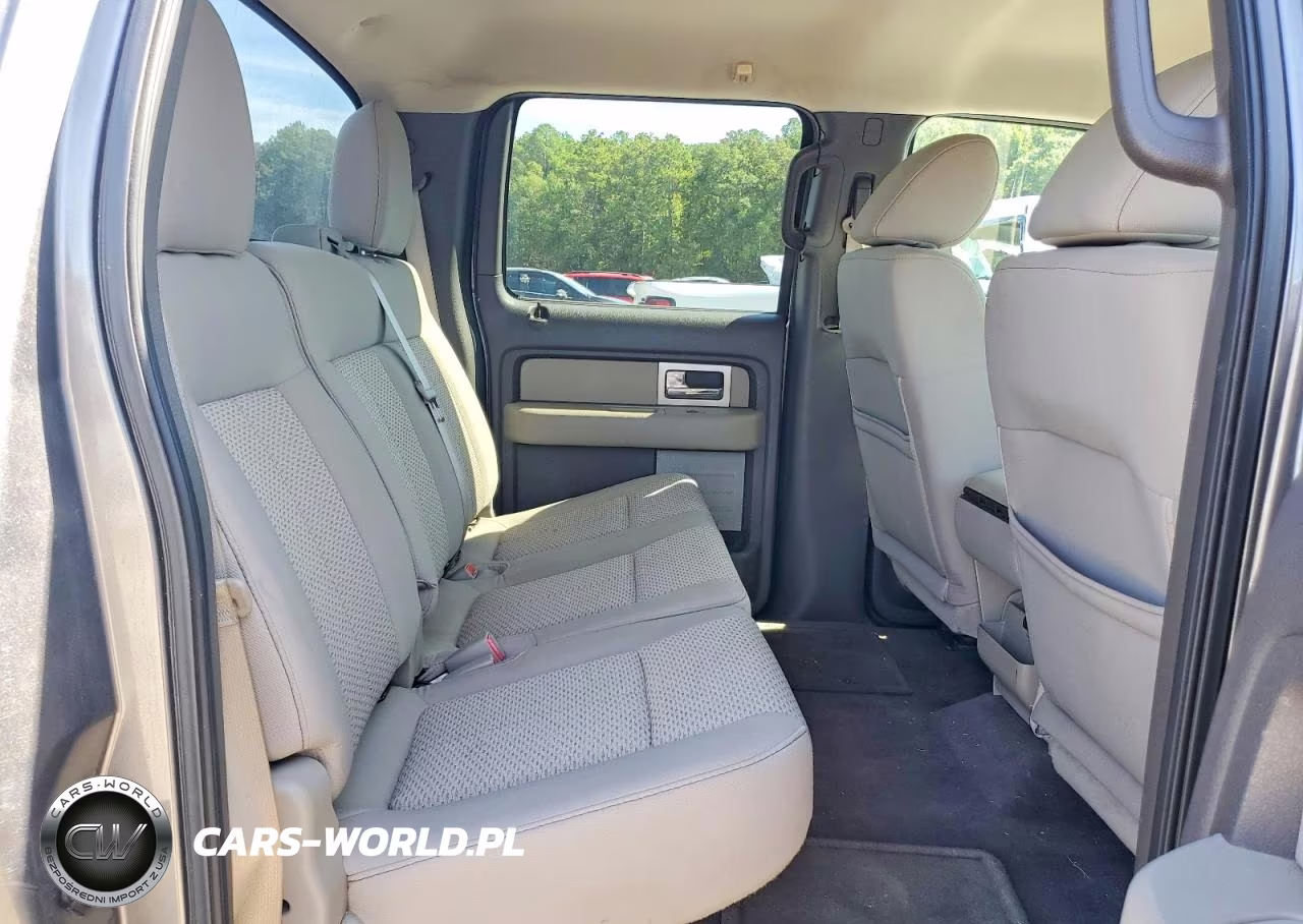 2010 Ford F150 Supercrew VIN:1FTEW1C81AFC21570 - 10