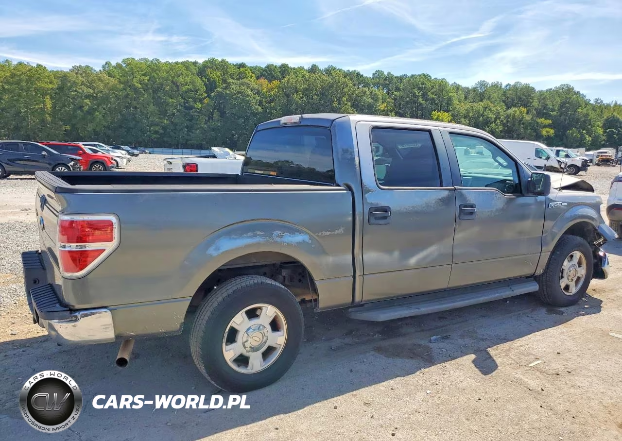 2010 Ford F150 Supercrew VIN:1FTEW1C81AFC21570 - 3