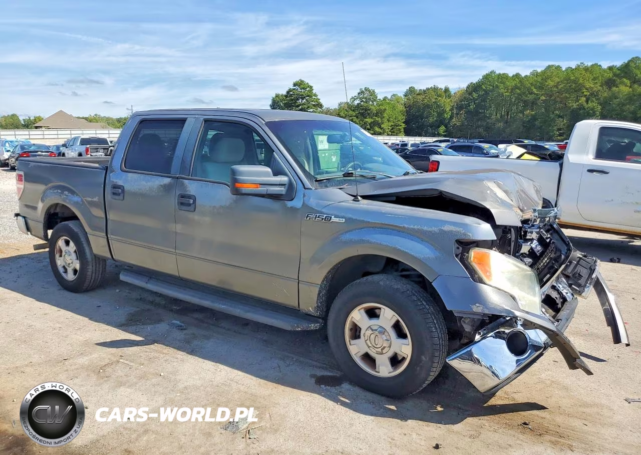 2010 Ford F150 Supercrew VIN:1FTEW1C81AFC21570 - 4