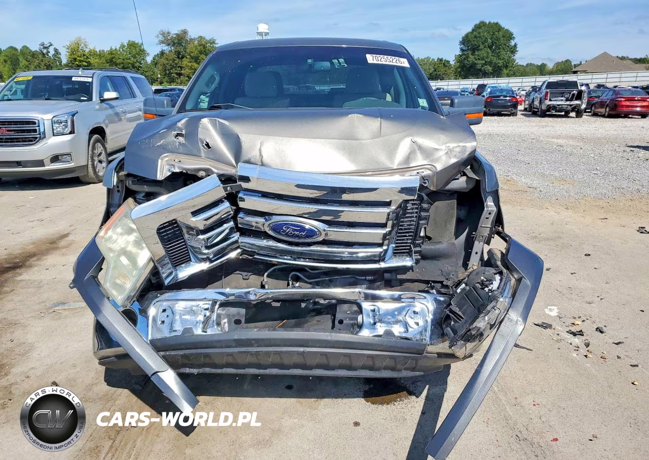 2010 Ford F150 Supercrew VIN:1FTEW1C81AFC21570 - 5