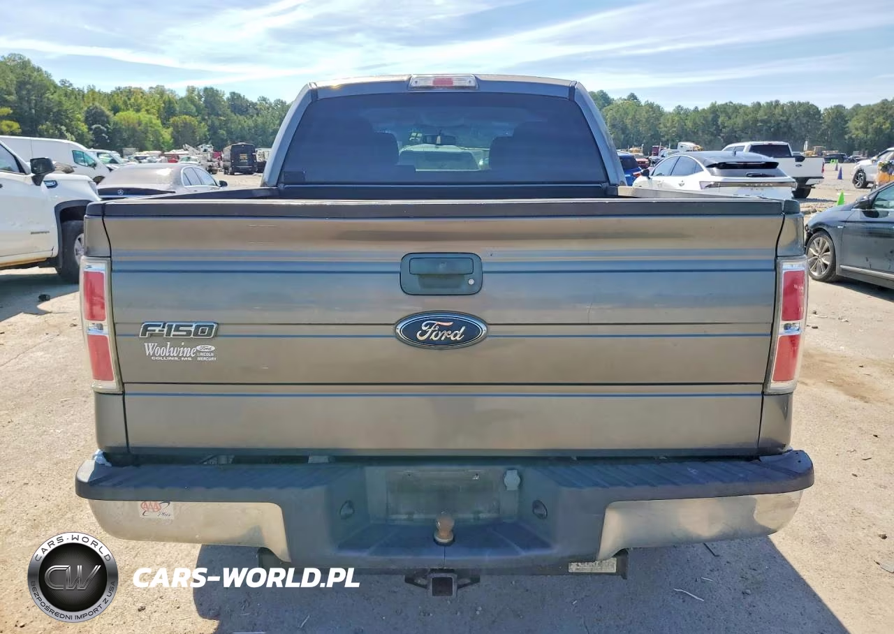 2010 Ford F150 Supercrew VIN:1FTEW1C81AFC21570 - 6