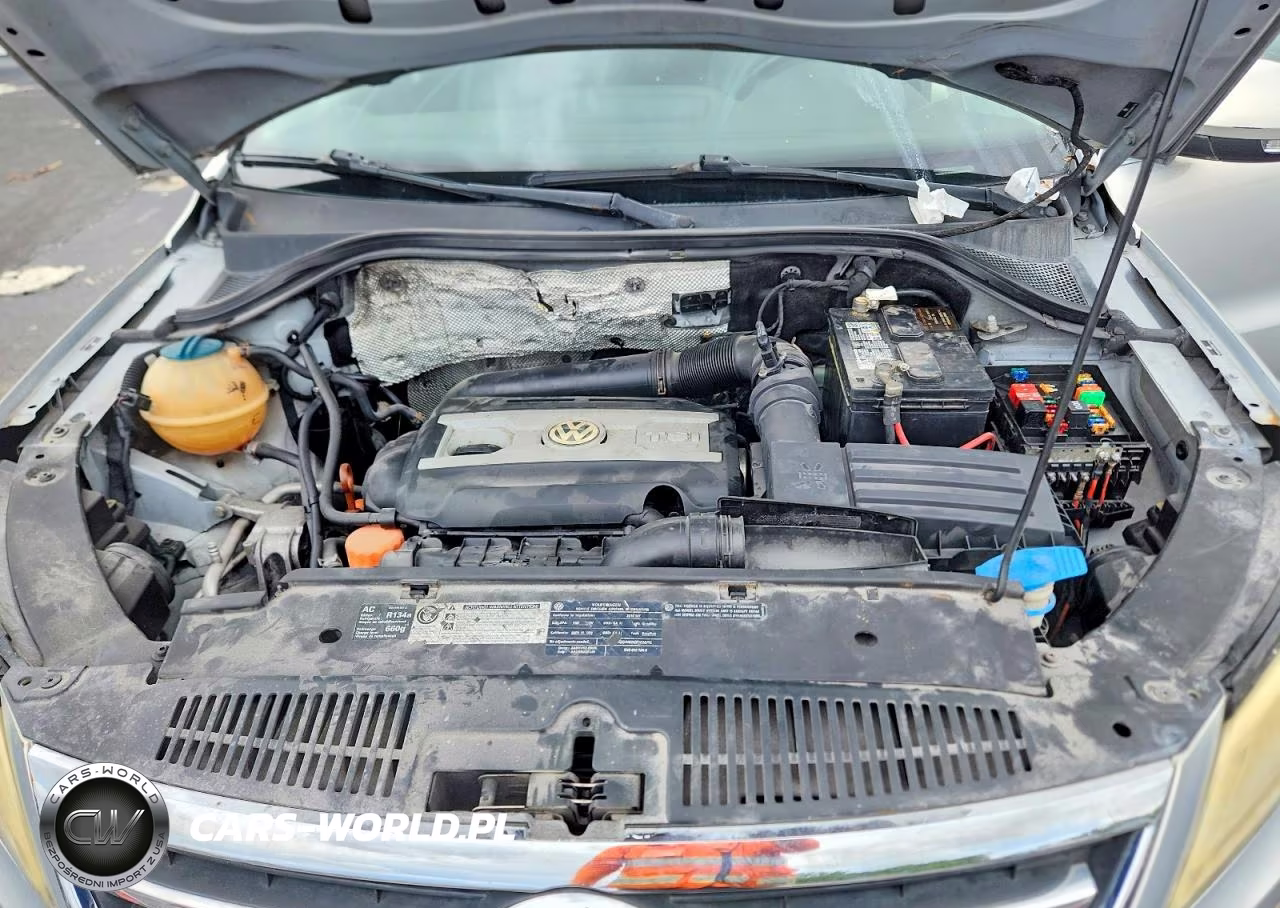 2010 Volkswagen Tiguan Se VIN:WVGBV7AX9AW521775 - 12