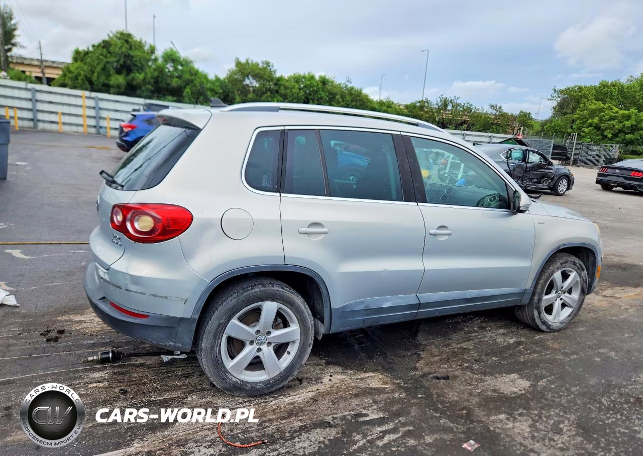 2010 Volkswagen Tiguan Se VIN:WVGBV7AX9AW521775 - 3