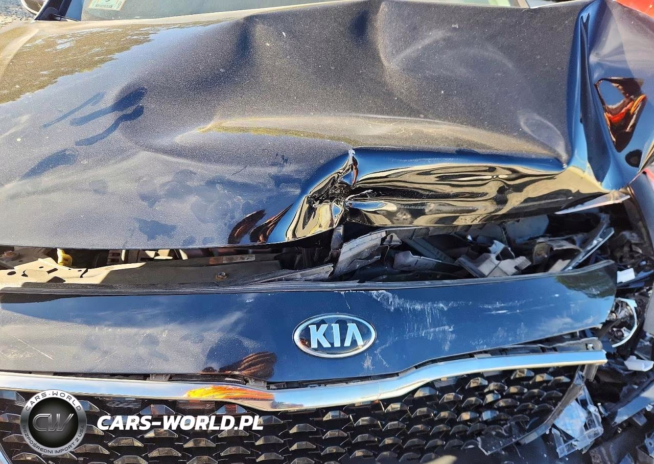 2017 Kia Forte Lx VIN:3KPFK4A79HE135648 - 11