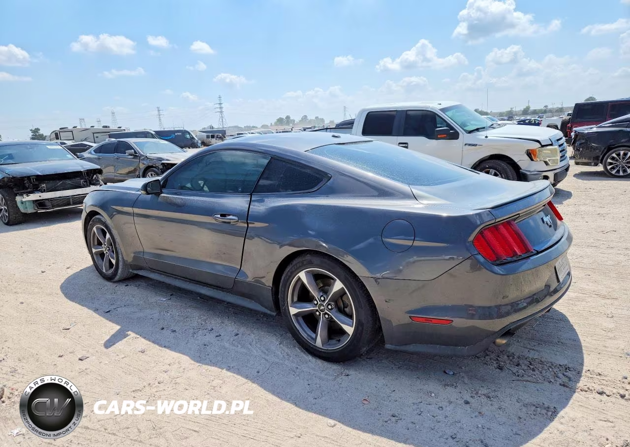 2017 Ford Mustang VIN:1FA6P8TH7H5357072 - 2