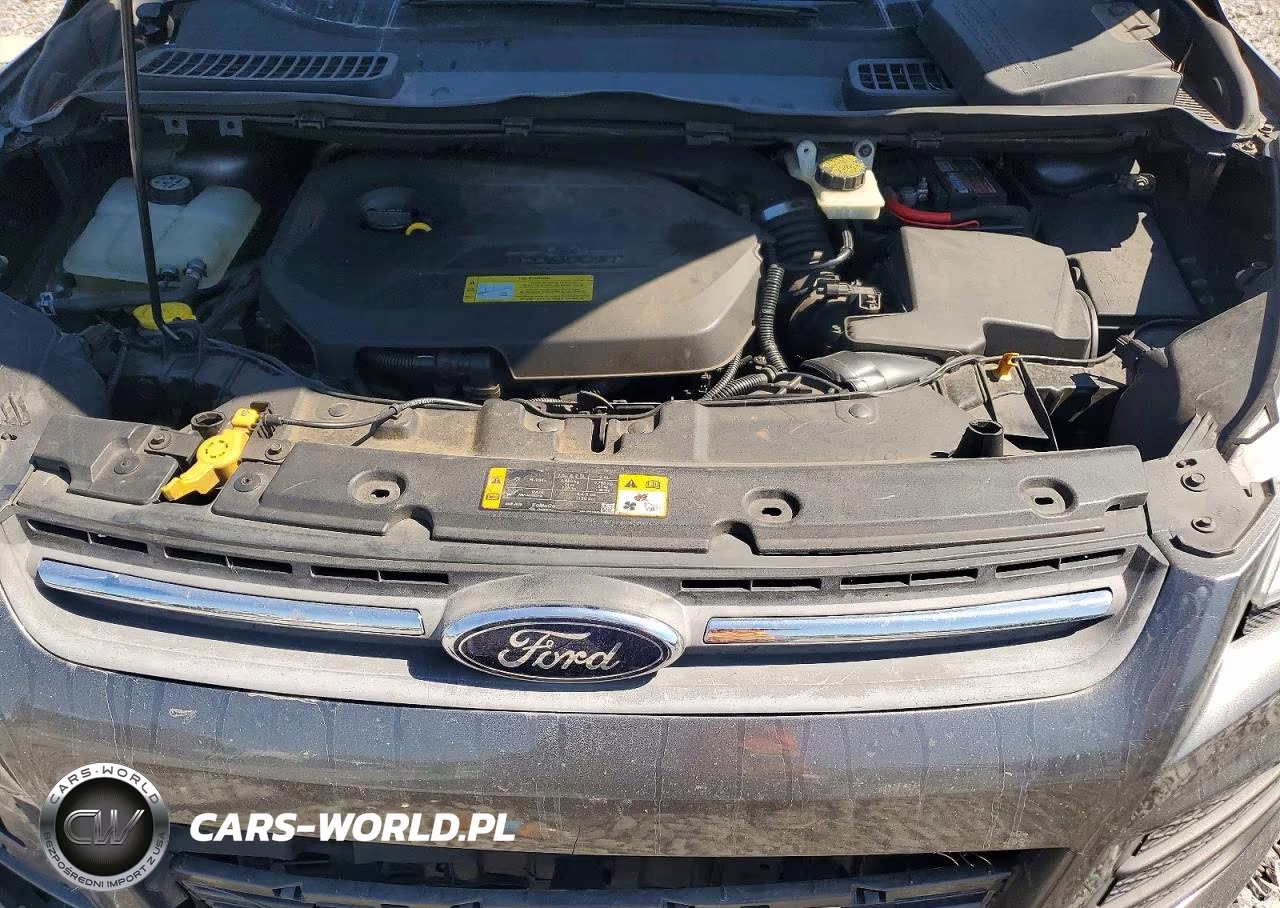 2013 Ford Escape Se VIN:1FMCU0GX4DUC64028 - 12