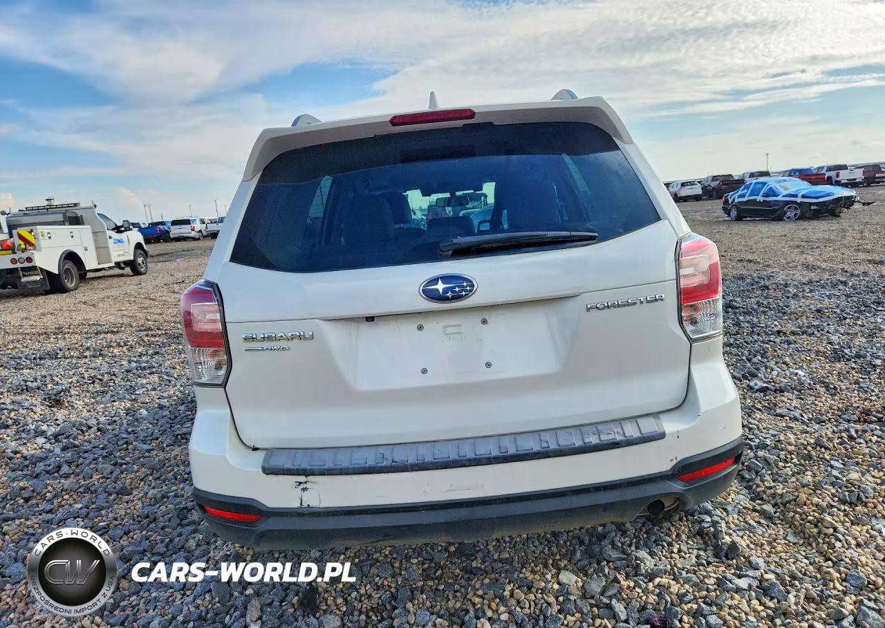 2018 Subaru Forester 2.5I Premium VIN:JF2SJAGC7JH566494 - 6