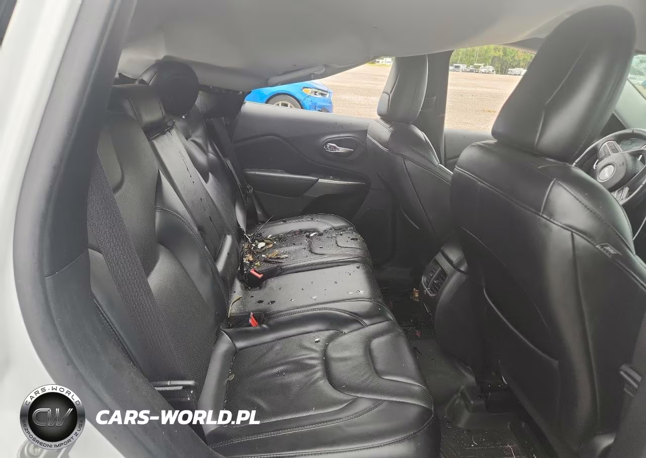 2019 Jeep Cherokee Limited VIN:1C4PJMDX5KD430368 - 11