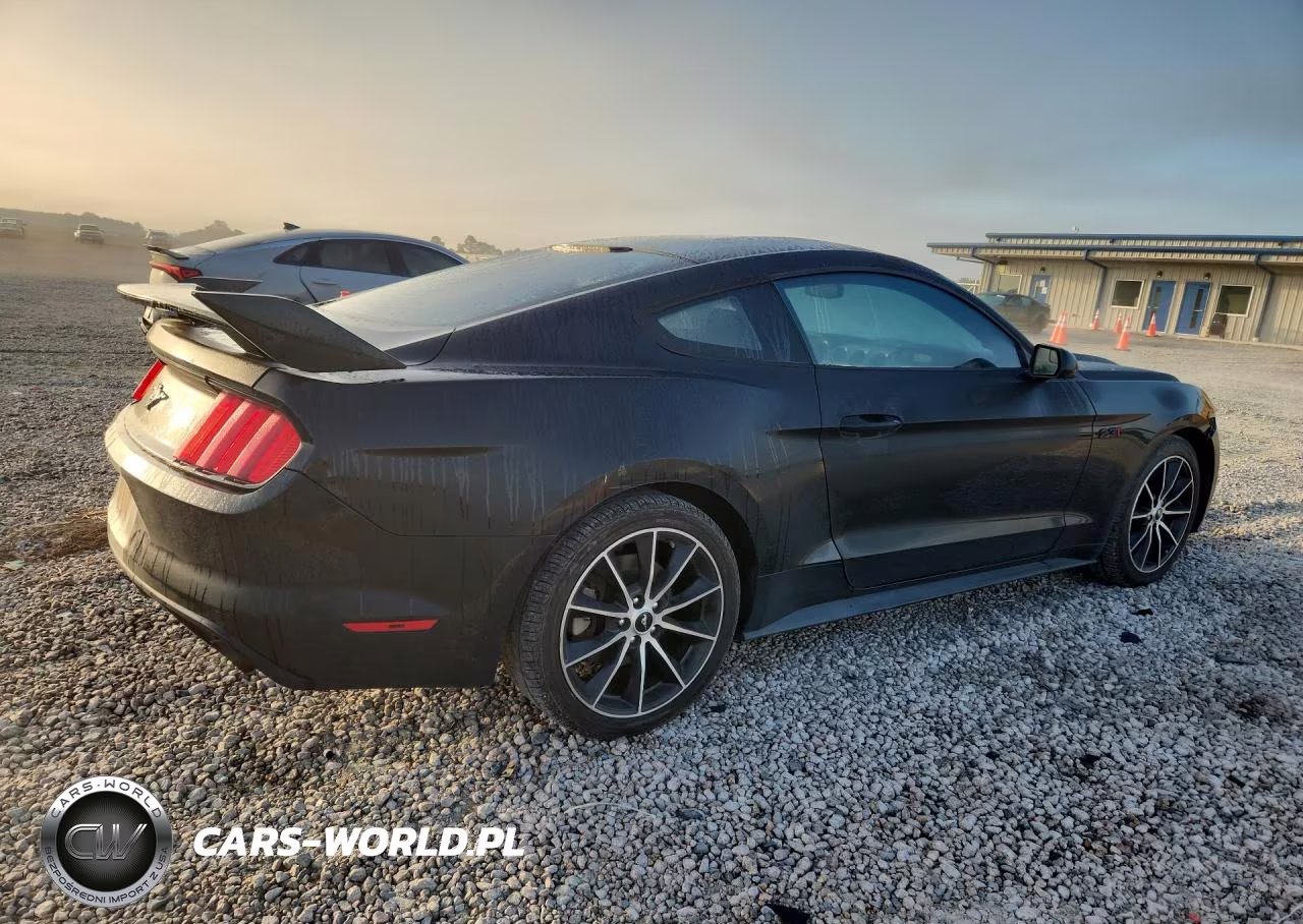 2017 Ford Mustang VIN:1FA6P8TH8H5230136 - 3
