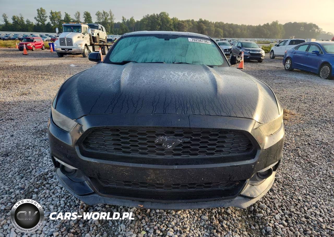 2017 Ford Mustang VIN:1FA6P8TH8H5230136 - 5