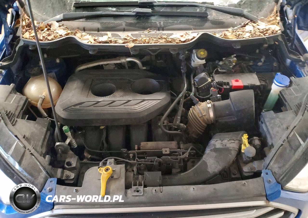 2018 Ford Ecosport Se VIN:MAJ6P1UL5JC170408 - 12