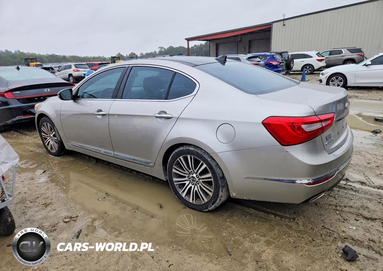 2014 Kia Cadenza Premium VIN:KNALN4D72E5124744 - 2