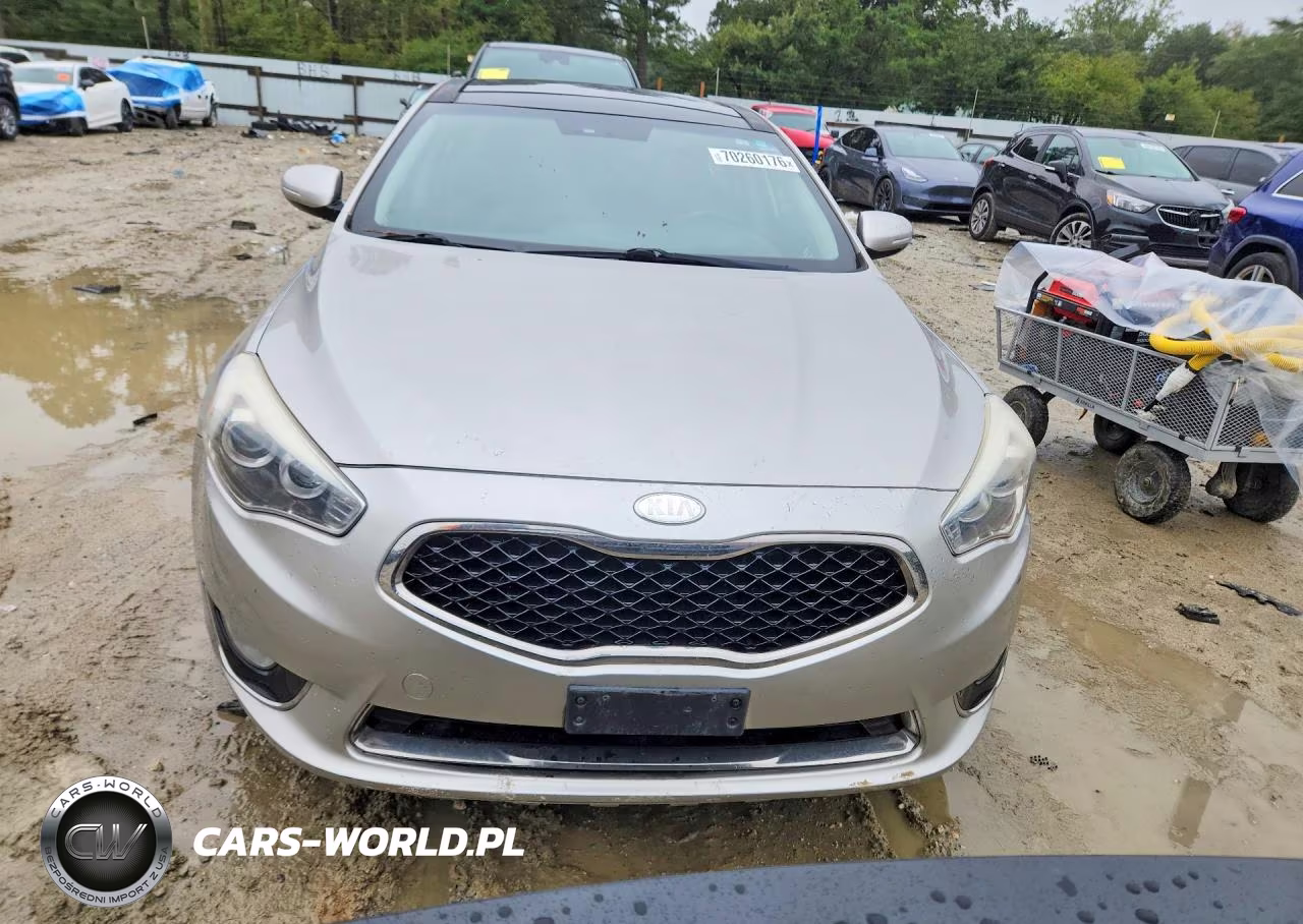 2014 Kia Cadenza Premium VIN:KNALN4D72E5124744 - 5