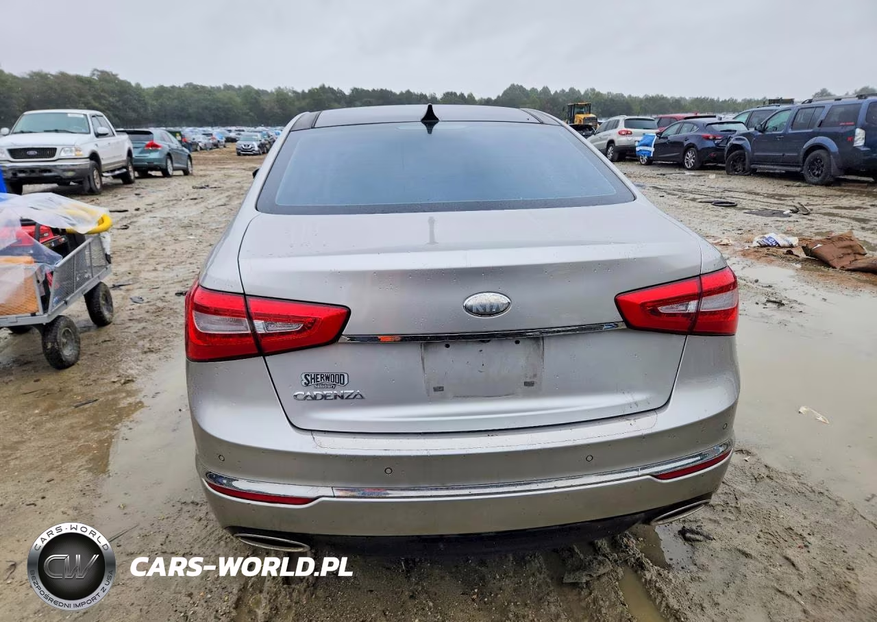 2014 Kia Cadenza Premium VIN:KNALN4D72E5124744 - 6