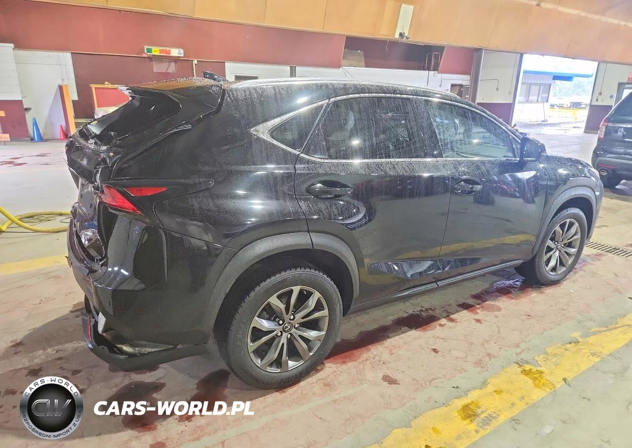 2016 Lexus Nx 200T F Sport VIN:JTJBARBZ4G2086348 - 3