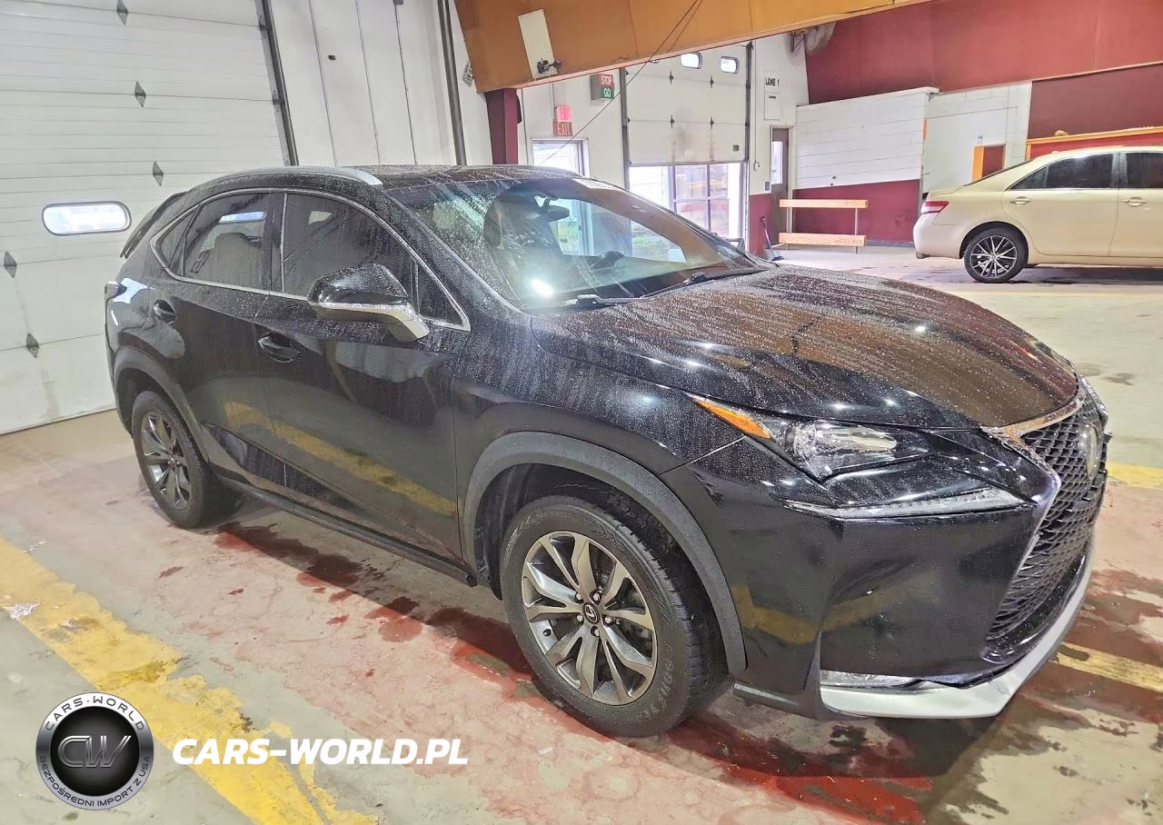 2016 Lexus Nx 200T F Sport VIN:JTJBARBZ4G2086348 - 4