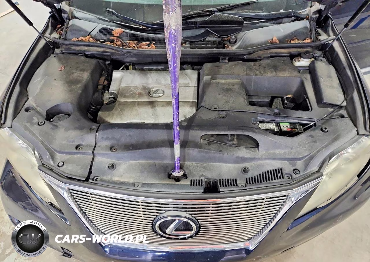 2010 Lexus Rx 350 VIN:2T2BK1BA1AC058684 - 12