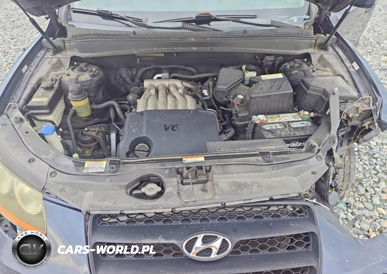 2008 Hyundai Santa Fe Gls VIN:5NMSG13D28H226917 - 11