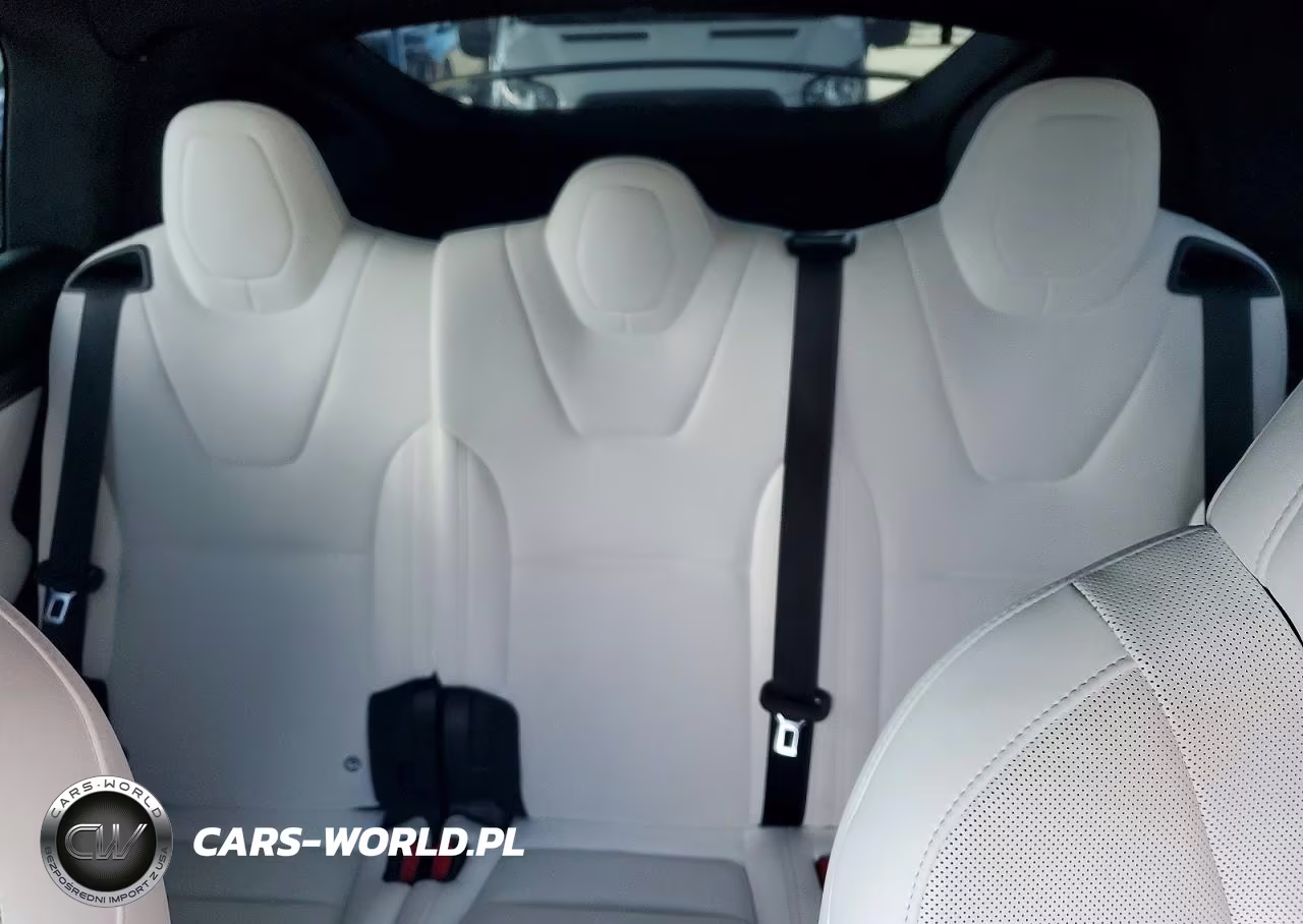 2024 Tesla Model X VIN:7SAXCDE5XRF455327 - 10