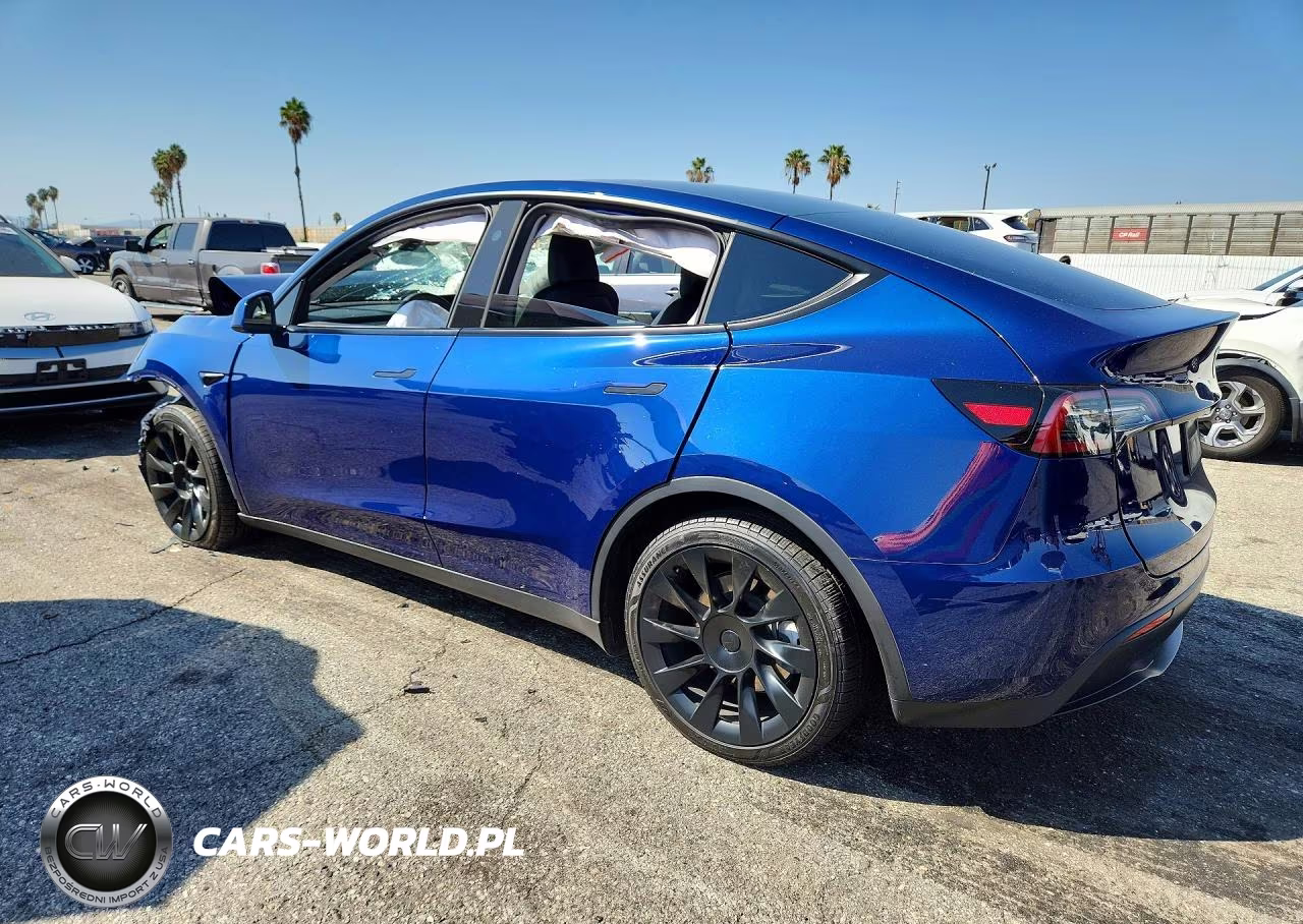 2024 Tesla Model Y VIN:7SAYGDEDXRF092365 - 2