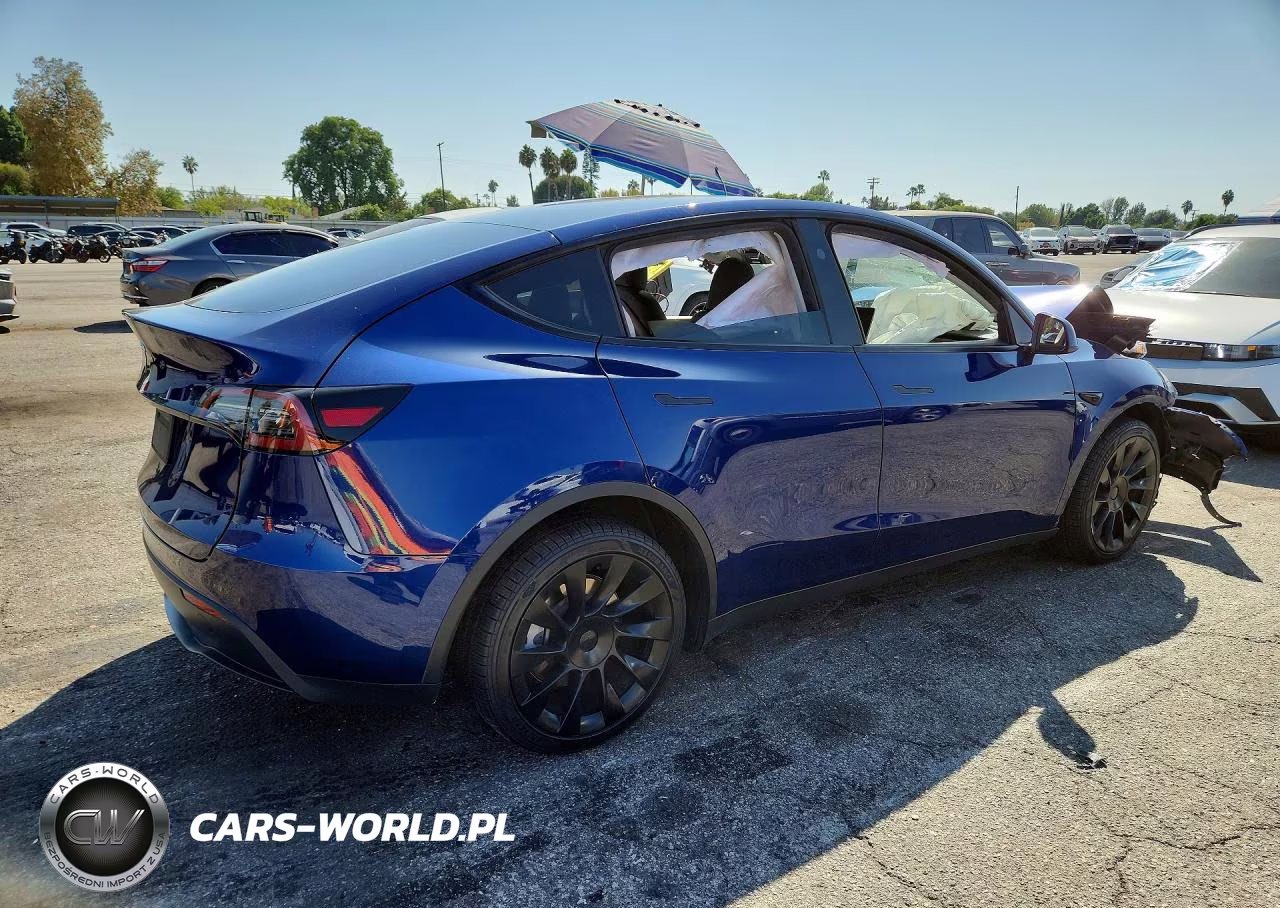 2024 Tesla Model Y VIN:7SAYGDEDXRF092365 - 3