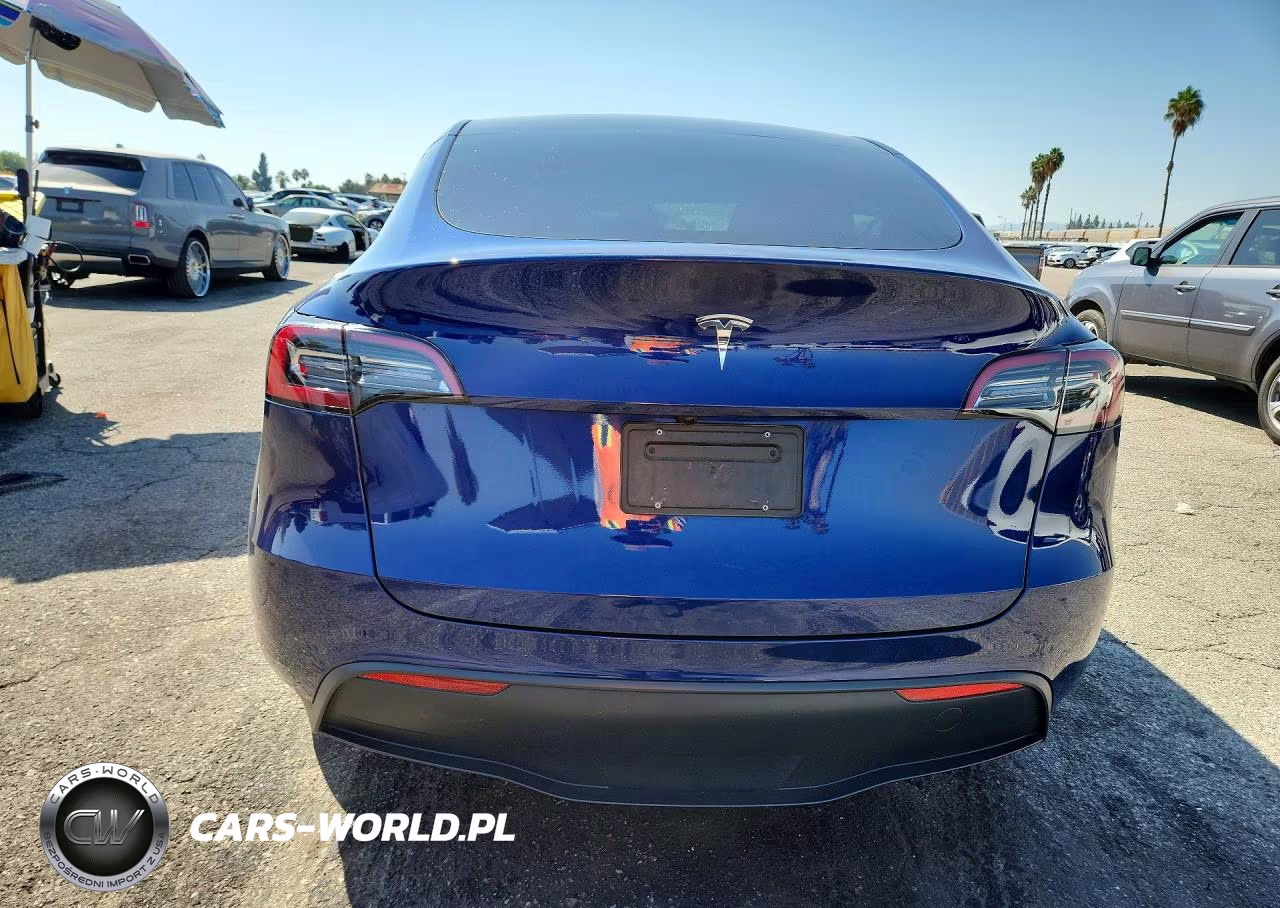 2024 Tesla Model Y VIN:7SAYGDEDXRF092365 - 6