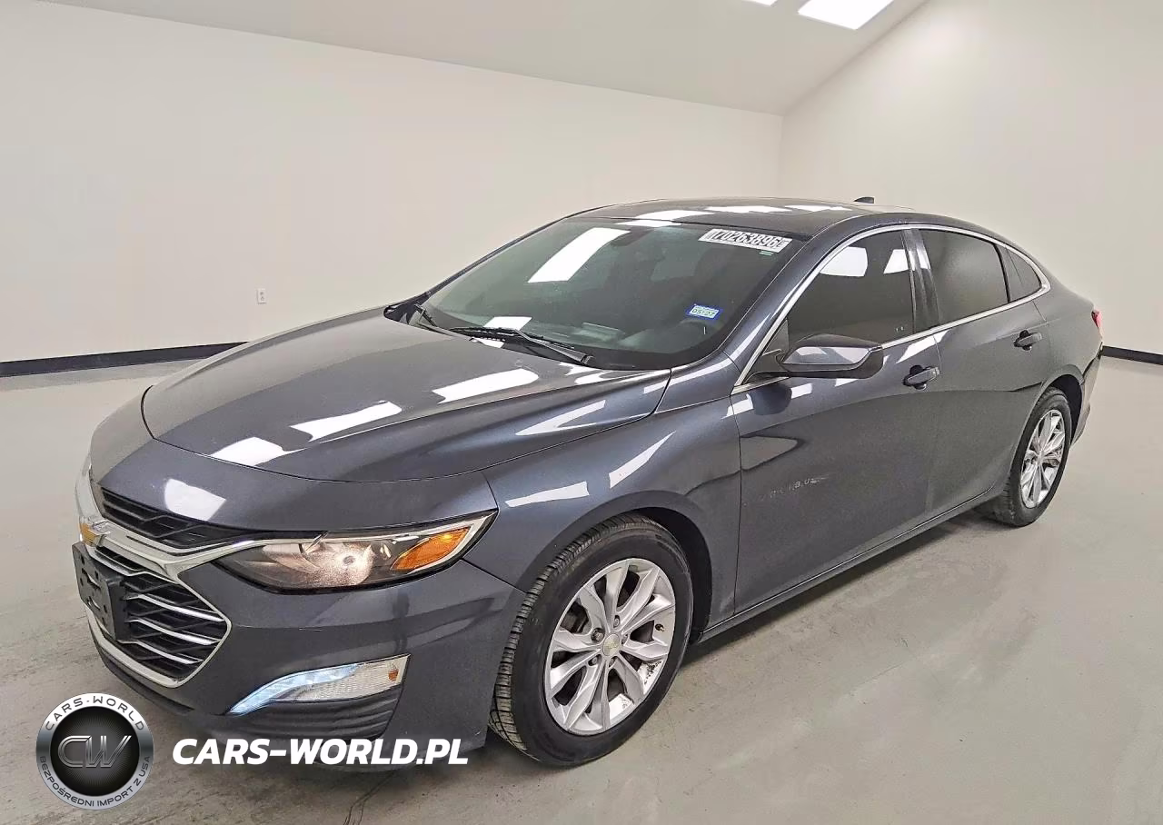 2019 Chevrolet Malibu Lt VIN:1G1ZD5ST3KF137376 - 1