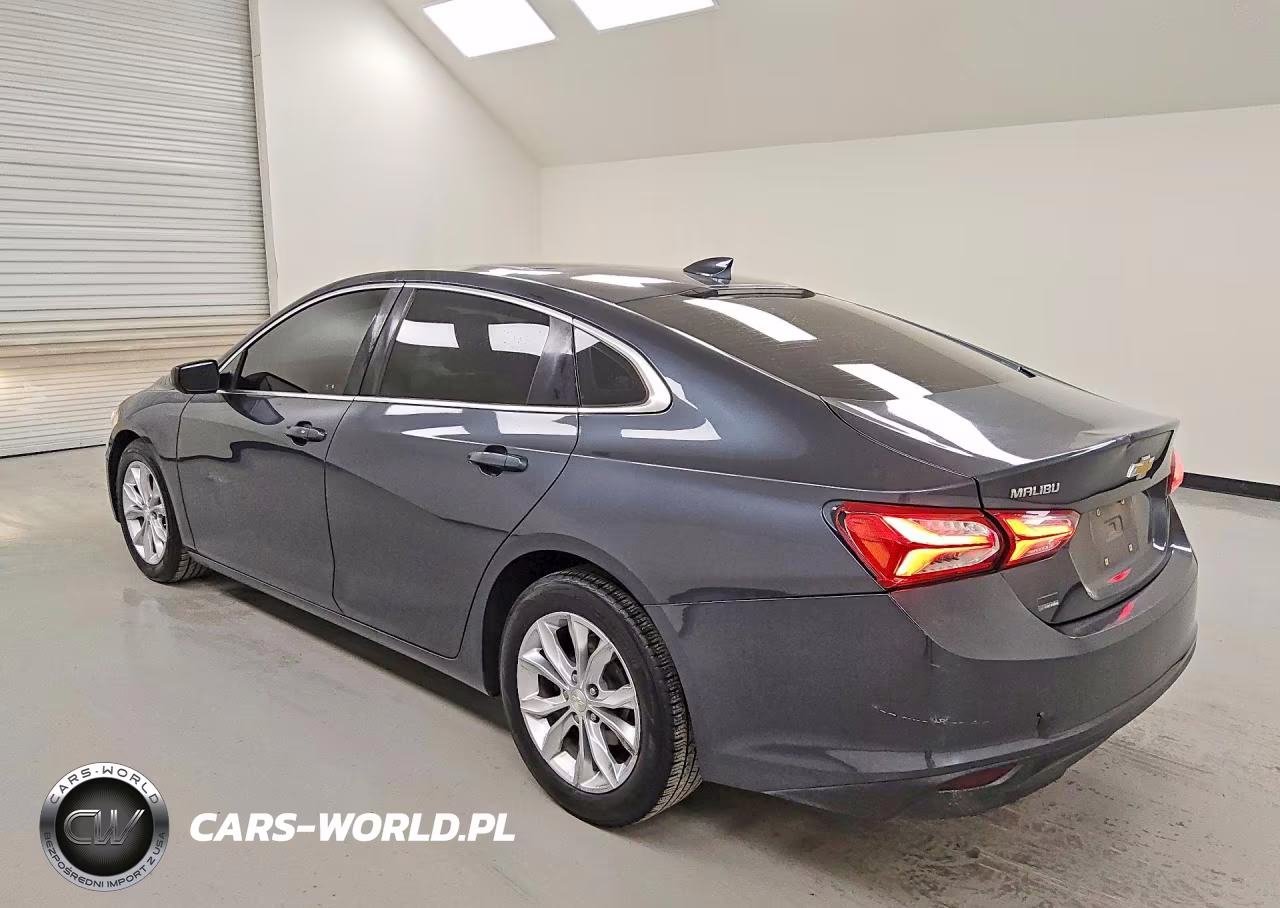 2019 Chevrolet Malibu Lt VIN:1G1ZD5ST3KF137376 - 2