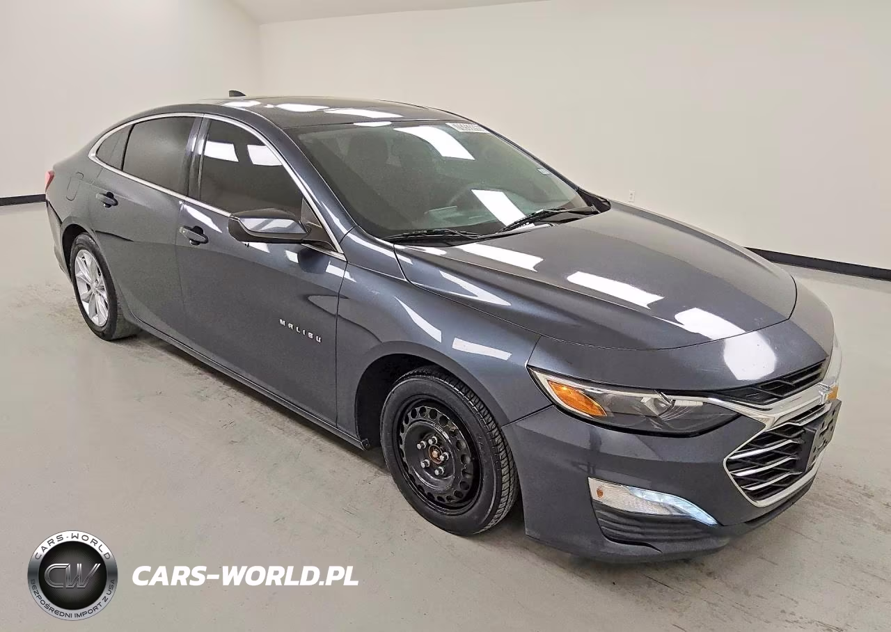 2019 Chevrolet Malibu Lt VIN:1G1ZD5ST3KF137376 - 4